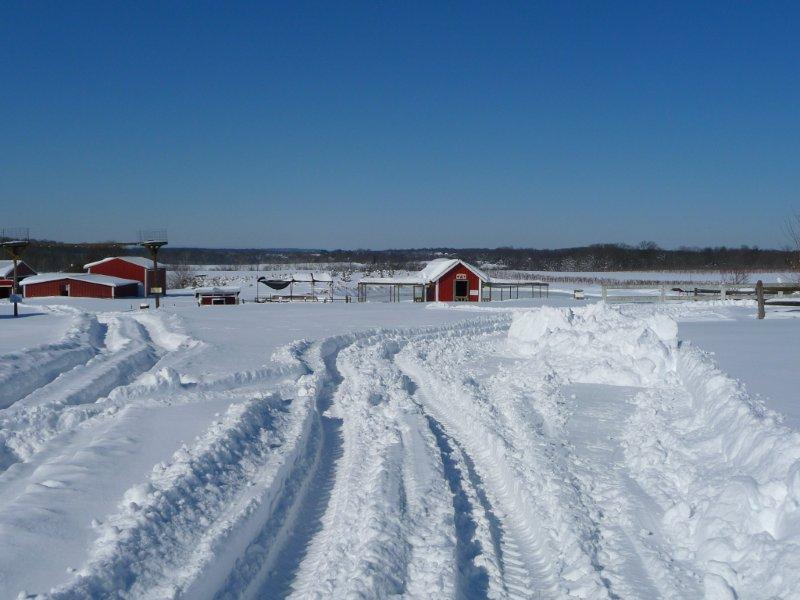 snow farm